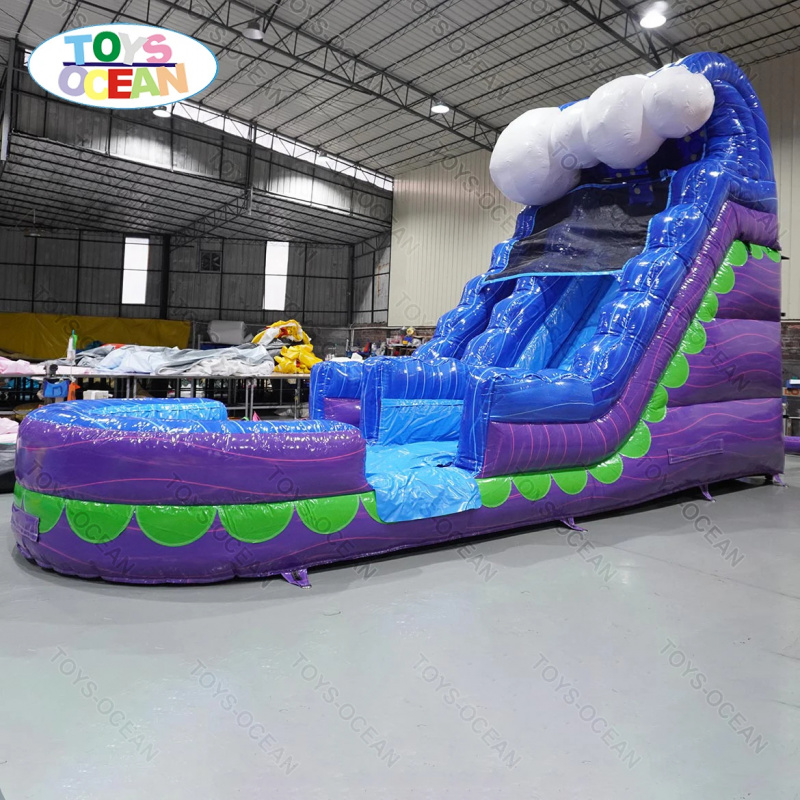 Commercial Backyard Slide Rent - Water Slide Inflatable recension och pris