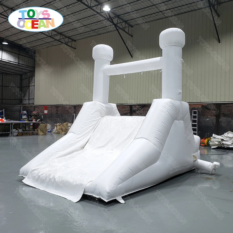 Custom Backyard White Water Sl - Water Slide Inflatable recension och pris